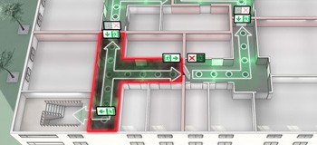 Dynamic Escape Routing